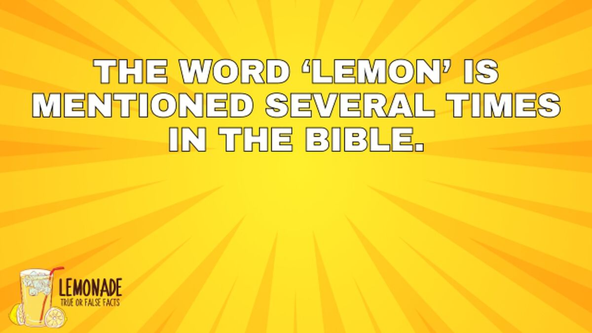 Lemonade True or False Facts image number null